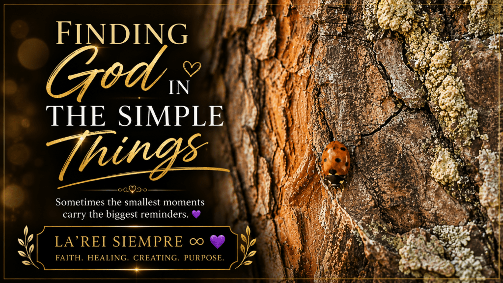Ladybird resting on the bark of a tree with the words Finding God in the Simple Things.